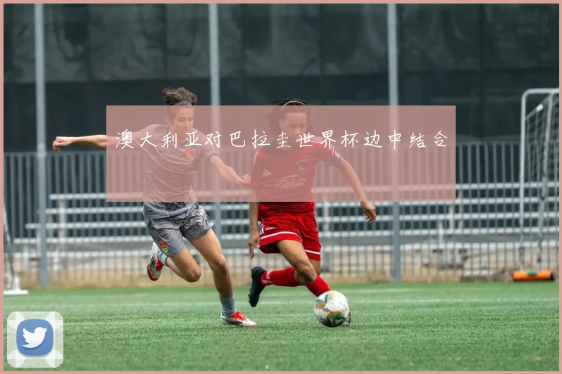 澳大利亚对巴拉圭世界杯边中结合